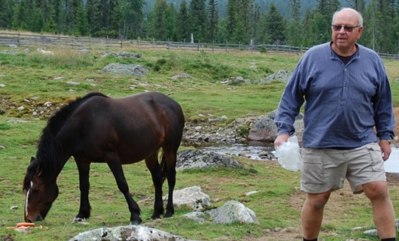 Lykkje oppdrett av hest v/ Per Sandbakken